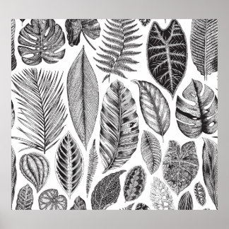 Poster Folhas exóticas, preto e branco floral vintage.