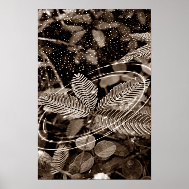 Poster Folhas - Green (Frente)