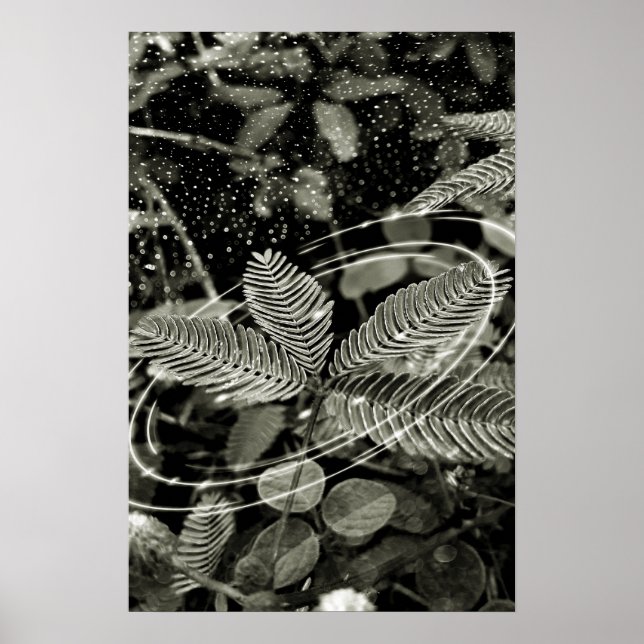 Poster Folhas - Green (Frente)