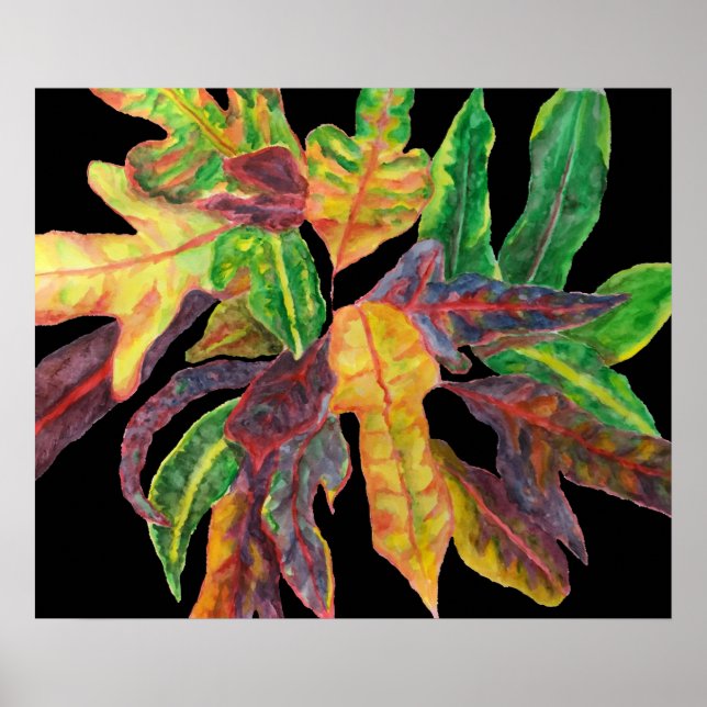 Póster Folhas majestosas (Frente)