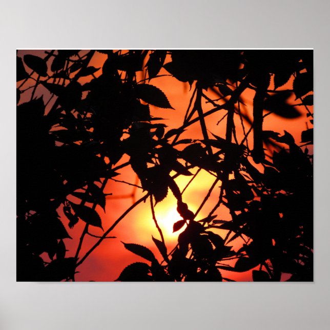 Póster Folhas no Sol (Frente)