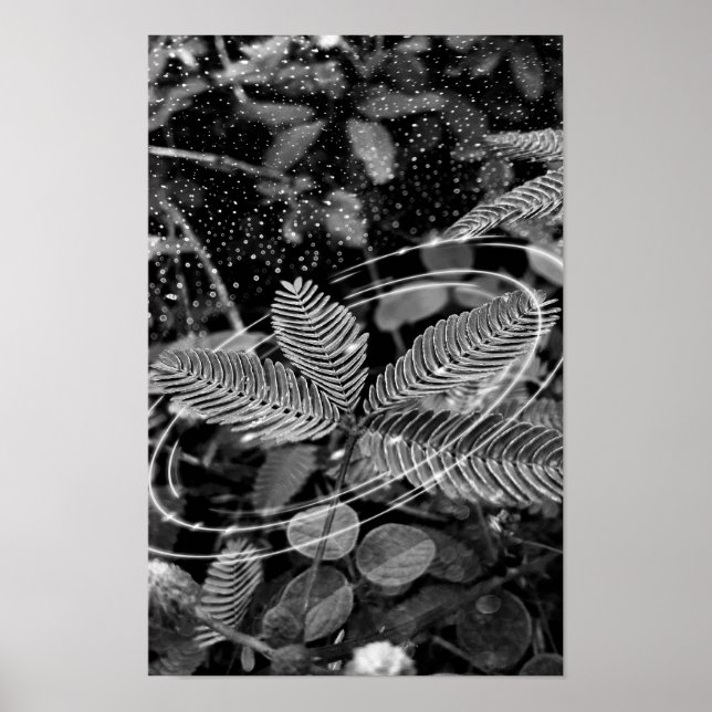 Poster Folhas - P&B (Frente)