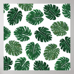 Póster Folhas pintados mão tropicais da planta do queijo