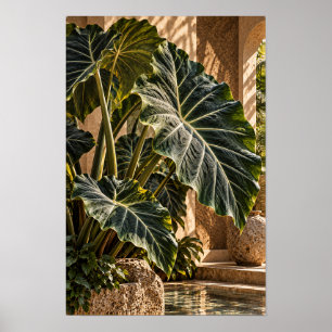 Poster Folhas Tropicais de Orelha de Elefante em Pátio Do