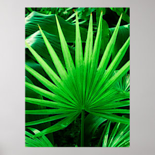 Poster Folhas Tropicais, Palma de Moinho, Verde Escuro