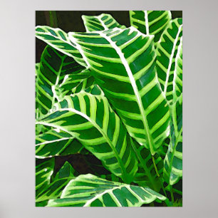 Poster Folhas tropicais, planta da zebra, verde escuro