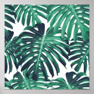 Poster Folhas tropicais verdes
