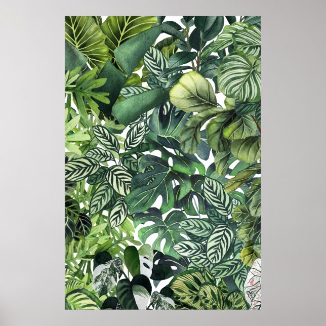 Poster Folhas vegetais (Frente)