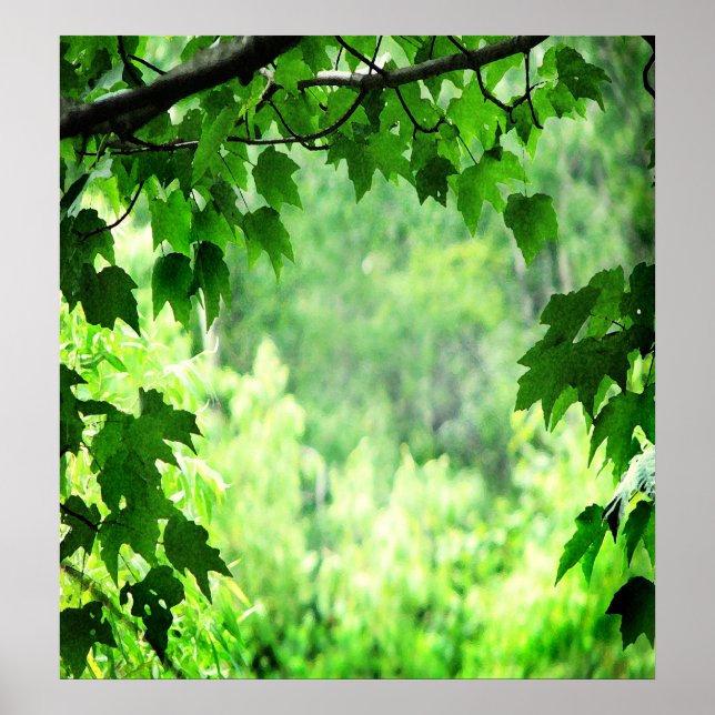 Póster Folhas verdes (Frente)