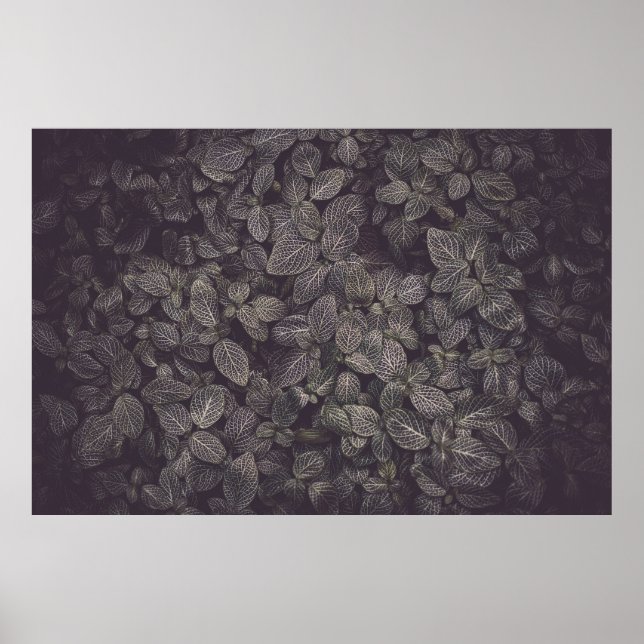 POSTER FOLHAS VERDES (Frente)