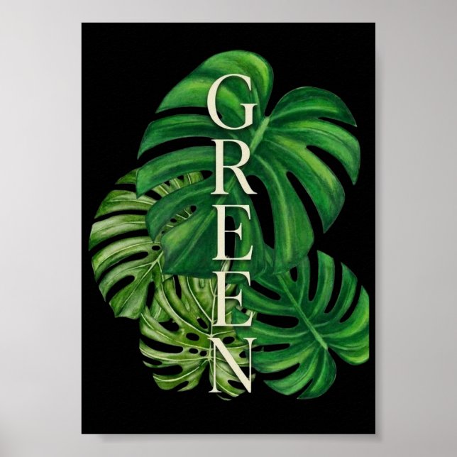 Poster Folhas Verdes de Monstera (Frente)
