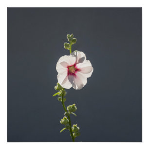 Póster Folhas verdes e verdes, cor-de-rosa, com flor rosa