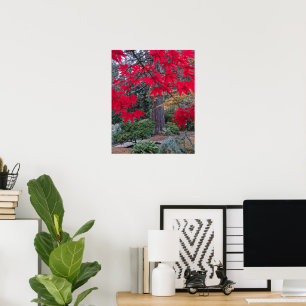 Poster Folhas Vermelhas de Bordo em um Jardim Japonês