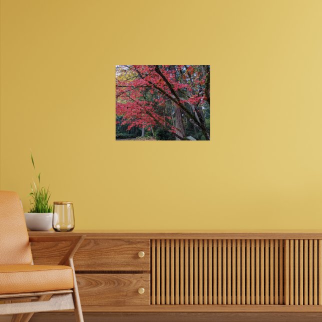 Poster Folhas Vermelhas de Bordo na Árvore Botânica (Sala de Estar 2)