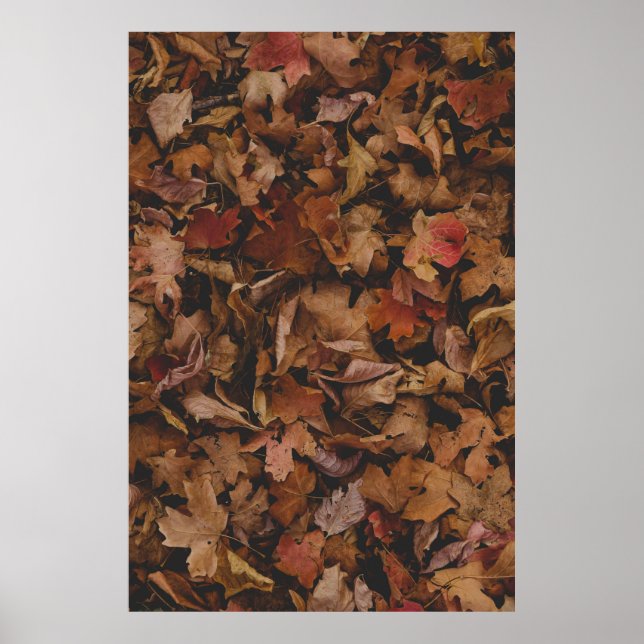 POSTER FOLHAS VERMELHAS E COROAS NO SOLO (Frente)