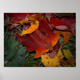 Poster Folhas Vibrantes de Outono