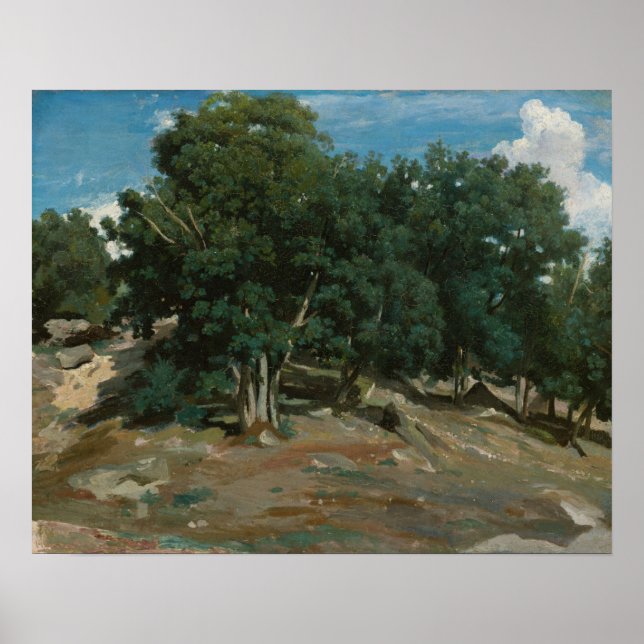 Póster Fontainebleau Oak Trees (Frente)