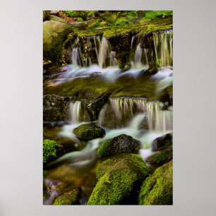 Póster Fonte de samambaia, Parque Nacional de Yosemite, C