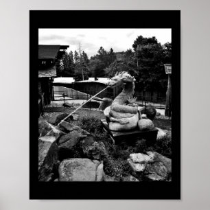 Poster Fonte do dragão