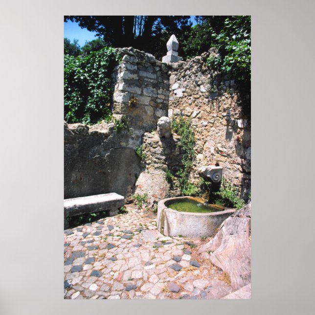 Póster Fonte romana, Rua Castello, George, Alfama, Portu (Frente)
