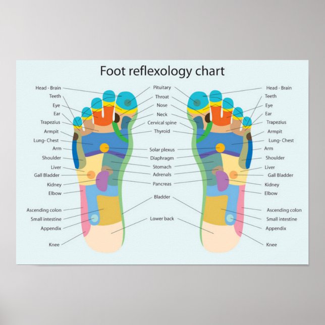 Poster Foot Reflexology 18x13" (Frente)