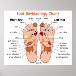 Poster Foot Reflexology 20x16"