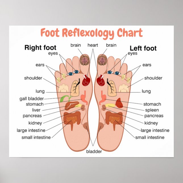 Poster Foot Reflexology 20x16" (Frente)