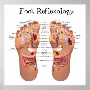 Poster Foot Reflexology 24x24"