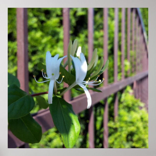 Póster fora da linha (Frente)