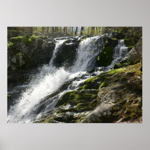 Poster Fora das Terras