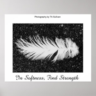 Poster Força da TDGallery