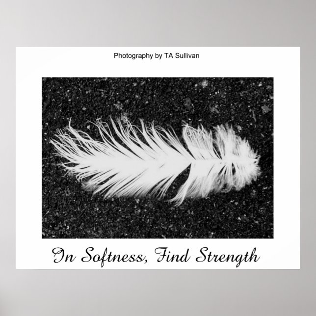 Poster Força da TDGallery (Frente)