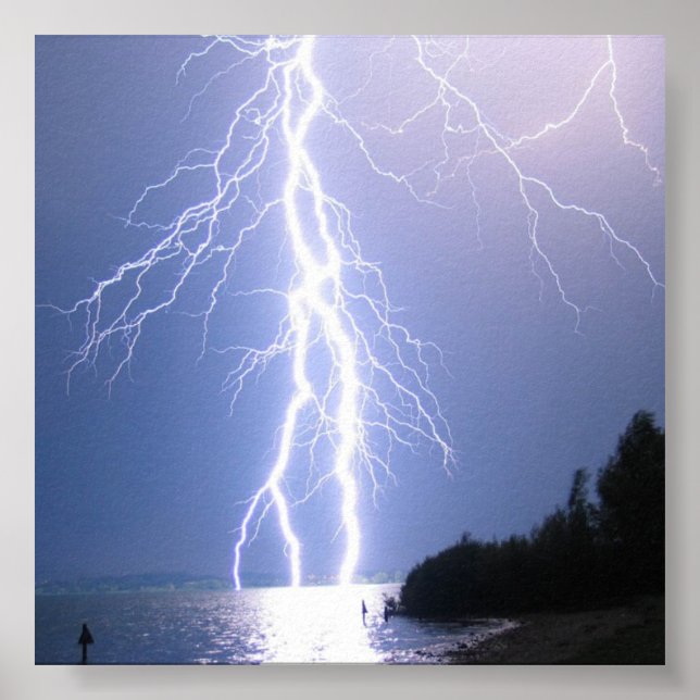 Póster Força e beleza das naturezas (Frente)