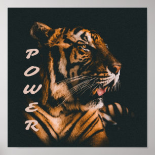 Poster Força Tigre Forçam Motivação