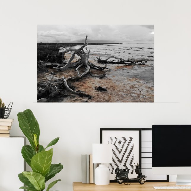 Poster Forças Naturais do Lago Tyrrell (Escritório em casa)