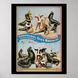 Póster Forepaugh e vendas - leões-marinhos do circo do