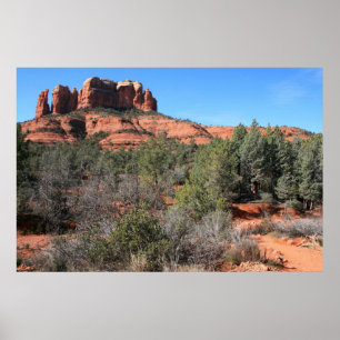 Poster Forest at Cathedral Rock