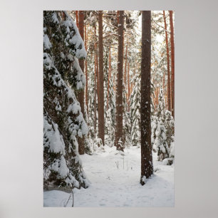 Póster Forest in winter