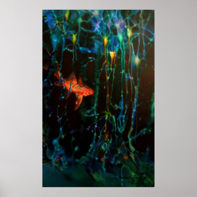 Poster "Forest" Sarah Doherty 2008 (Frente)