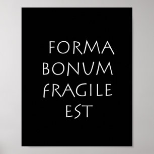 Poster Forma bonum frágil