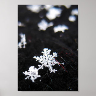 Póster Forma de inverno