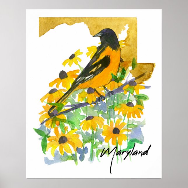 Poster Forma do Estado de Maryland Baltimore Oriole Susan (Frente)