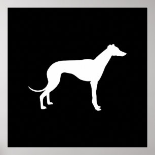 Poster Forma preto e branco do galgo