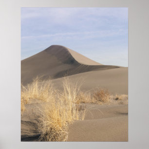 Póster Formações de dunas de areia. Bruneau Dunes State P