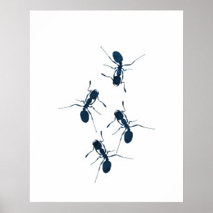 Póster Formigas