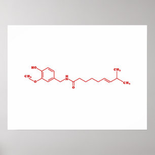 Poster Fórmula química molecular do Capsaicin do piment