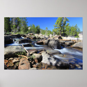 Poster Forquilha de prata do rio americano