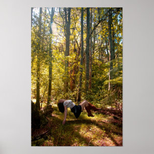 Póster Forrest dos sonhos