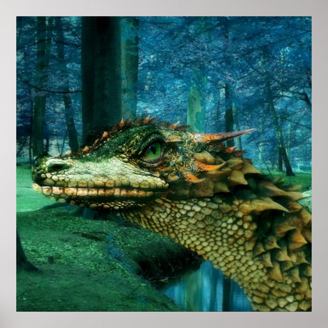 Poster Forrest Dragon (Frente)