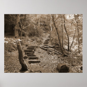 Póster Forrest pisa canvas do XL